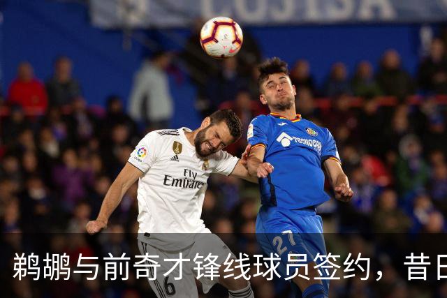 鹈鹕与前奇才锋线球员签约，昔日队友再聚首？